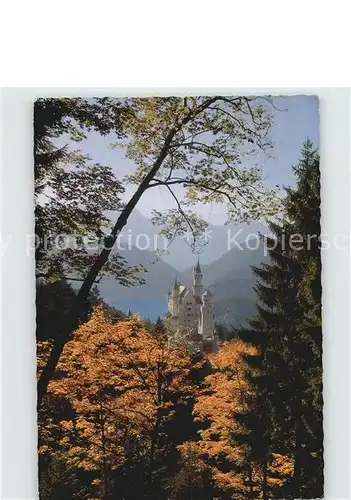 AK / Ansichtskarte Hohenschwangau Koenigsschloss Neuschwanstein Alpsee Herbststimmung Alpen Kat. Schwangau