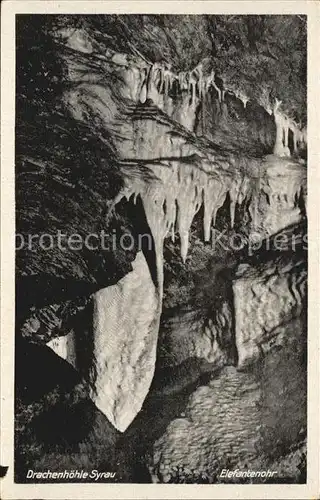 AK / Ansichtskarte Hoehlen Caves Grottes Drachenhoehle Syrau Elefantenohr Kat. Berge