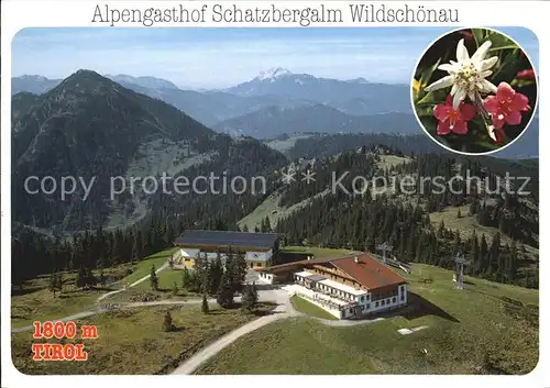 AK / Ansichtskarte Wildschoenau Tirol Alpengasthof Schatzbergalm Alpenflora Fliegeraufnahme / Kufstein /Tiroler Unterland