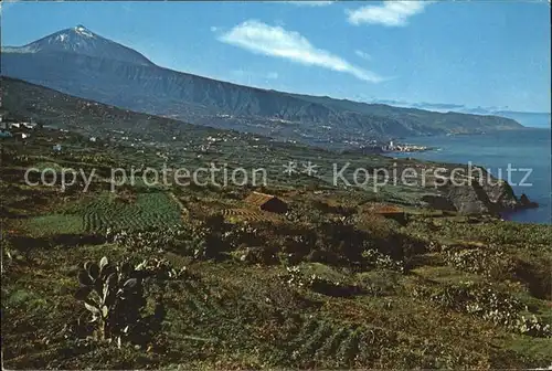 AK / Ansichtskarte Tenerife Paisaje al fondo El Teido Landschaftspanorama Vulkan Kat. Islas Canarias Spanien