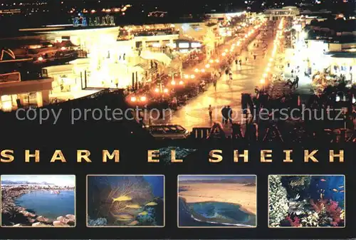 AK / Ansichtskarte Sharm el Sheikh bei Nacht Strand Unterwasseraufnahmen Korallen Kat. Sharm el Sheikh