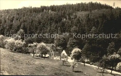 AK / Ansichtskarte Eisenberg Thueringen Naupoldsmuehle im Muehltal Baumbluete Kat. Eisenberg