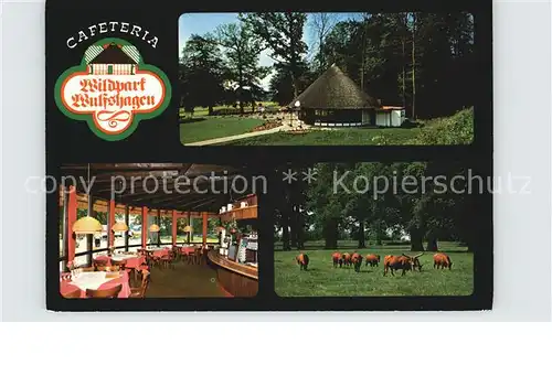 AK / Ansichtskarte Kiel Wildpark Wulfshagen Cafeteria Kat. Kiel