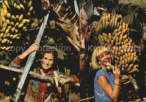 AK / Ansichtskarte Bananen Islas Canarias  Kat. Pflanzen