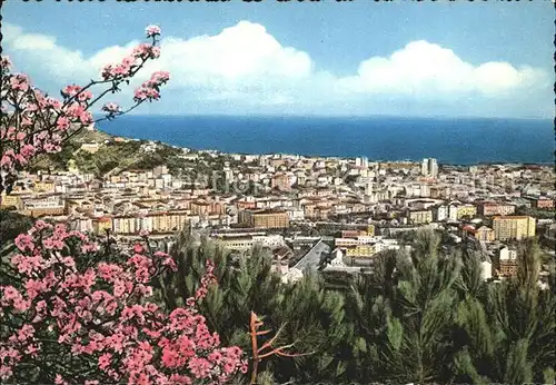 AK / Ansichtskarte Savona Liguria Panorama di levante Baumbluete Kat. Savona