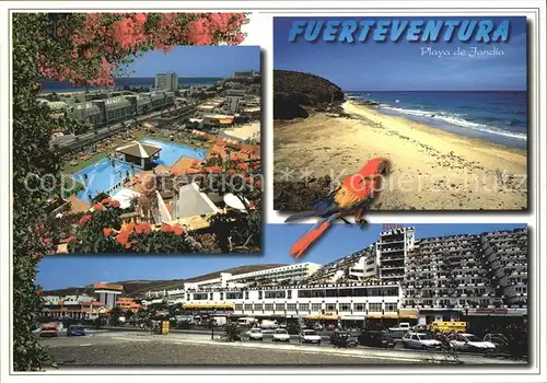 AK / Ansichtskarte Playa de Jandia Hotelanlage Swimming Pool Strand Pagagei