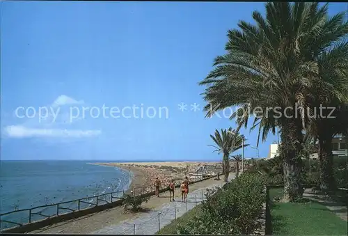 AK / Ansichtskarte Playa del Ingles Gran Canaria Promenade Palmen Strand Kat. San Bartolome de Tirajana