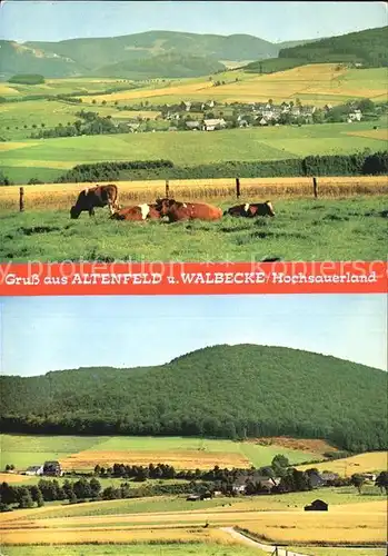 AK / Ansichtskarte Altenfeld Sauerland Walbecke Panorama Kat. Winterberg