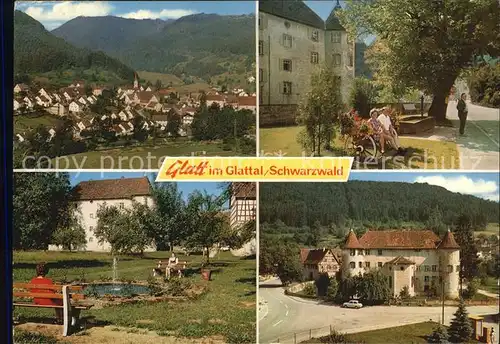 AK / Ansichtskarte Glatt Panorama Glatttal Schwarzwald Gasthof Pension Kaiser Park Schloss Kat. Sulz am Neckar