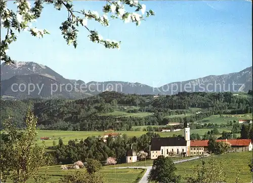 AK / Ansichtskarte Willparting Irschenberg Ortsansicht mit Kirche Alpenpanorama