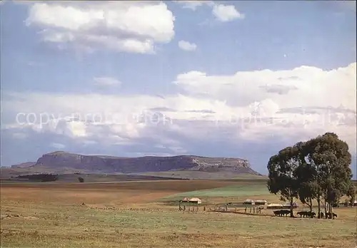 AK / Ansichtskarte Kerkenberg Panorama 