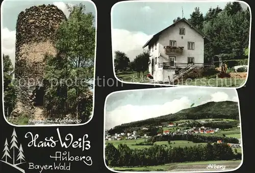 AK / Ansichtskarte Auberg Rimbach Burgruine Lichtenegg Pension Haus Weiss Panorama Bayerischer Wald