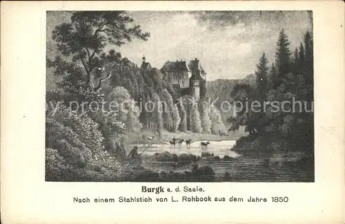 AK / Ansichtskarte Burgk Saale Orla Kreis Schloss Burgk Saalepartie Stahlstich Kat. Burgk