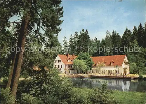 AK / Ansichtskarte Leopoldstal Lippe Waldhotel Pension Silbermuehle Teutoburger Wald See Kat. Horn Bad Meinberg