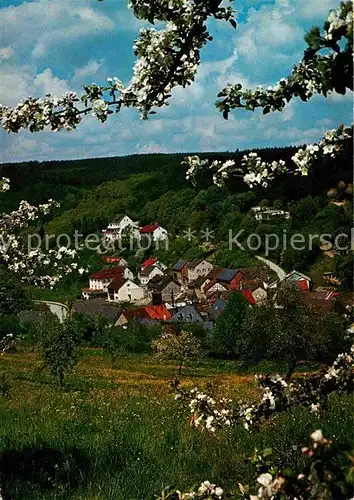 AK / Ansichtskarte Bad Schwalbach Stadtteil Ramschied Wispertal Baumbluete Kat. Bad Schwalbach