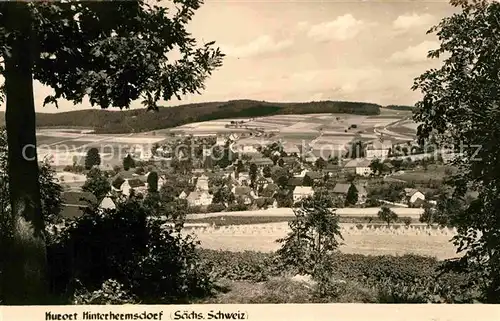 AK / Ansichtskarte Hinterhermsdorf Panorama Kurort Kat. Sebnitz