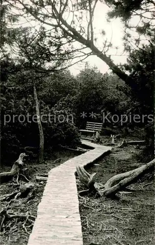 AK / Ansichtskarte Georgenfeld Georgenfelder Hochmoor Kat. Zinnwald Georgenfeld