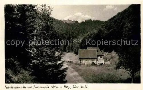 AK / Ansichtskarte Frauenwald Thueringen Traenkbachmuehle Kat. Frauenwald