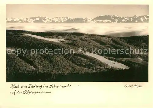 AK / Ansichtskarte Feldberg Schwarzwald Panorama Blick auf die Alpen Nebelmeer Kat. Feldberg (Schwarzwald)