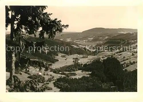 AK / Ansichtskarte Feldberg Schwarzwald Panorama Blick ins Baerental mit Titisee Kat. Feldberg (Schwarzwald)