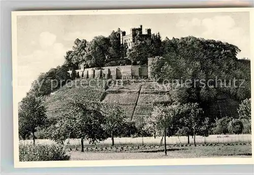 AK / Ansichtskarte Offenburg Schloss Ortenberg im Schwarzwald Kat. Offenburg