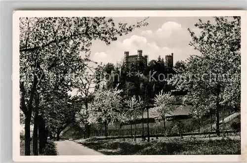 AK / Ansichtskarte Offenburg Schloss Ortenberg im Kinzigtal Fruehling Schwarzwald Kat. Offenburg