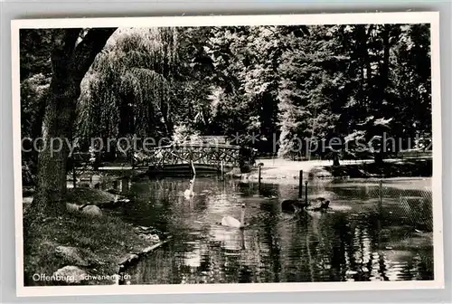 AK / Ansichtskarte Offenburg Schwanenteich Zwingerpark Kat. Offenburg