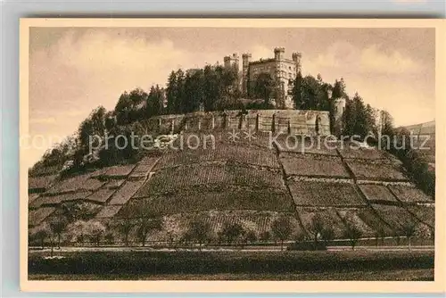 AK / Ansichtskarte Offenburg Schloss Ortenberg im Schwarzwald Kupfertiefdruck Kat. Offenburg