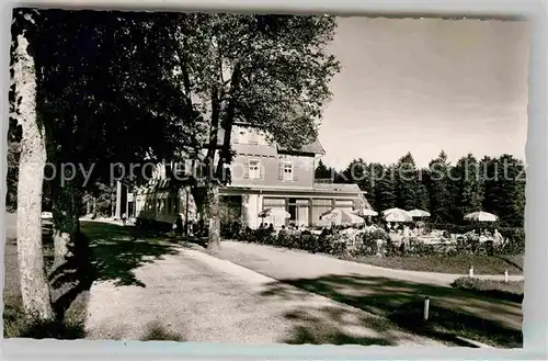 AK / Ansichtskarte Zwieselberg Freudenstadt Hotel Pension Hirsch Kat. Freudenstadt