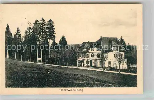 AK / Ansichtskarte Zwieselberg Freudenstadt Hotel Pension Hirsch Kat. Freudenstadt