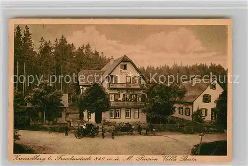 AK / Ansichtskarte Zwieselberg Freudenstadt Villa Berta Kat. Freudenstadt