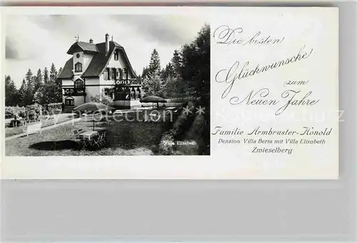 AK / Ansichtskarte Zwieselberg Freudenstadt Pension Villa Berta und Villa Elisabeth Kat. Freudenstadt