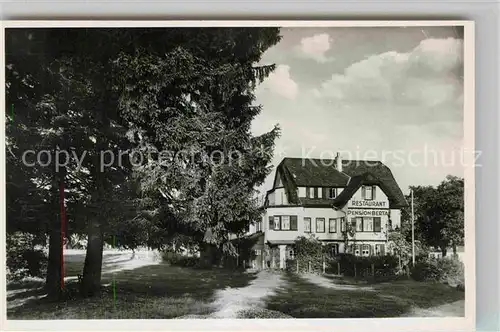 AK / Ansichtskarte Zwieselberg Freudenstadt Villa Berta mit Villa Elisabeth Kat. Freudenstadt
