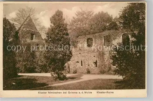 AK / Ansichtskarte Nimbschen Kloster Ruine