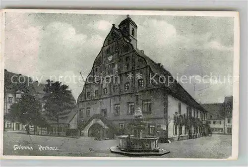 AK / Ansichtskarte Grimma Rathaus Brunnen Kat. Grimma
