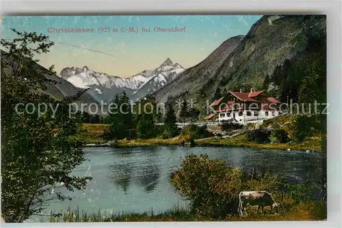 AK / Ansichtskarte Oberstdorf Waldhotel Christlessee Kat. Oberstdorf