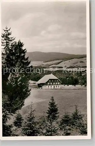 AK / Ansichtskarte Breitnau Gasthaus zum Kreuz Kat. Breitnau