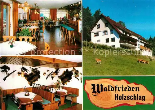 AK / Ansichtskarte Holzschlag Bonndorf Pension Waldfrieden mit Gaestehaus