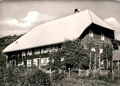 AK / Ansichtskarte Wittenschwand Haus Gritsch Kat. Dachsberg