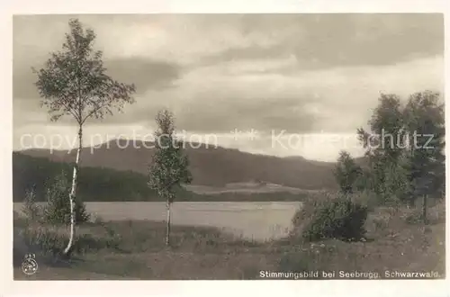 AK / Ansichtskarte Seebrugg Panorama  Kat. Schluchsee