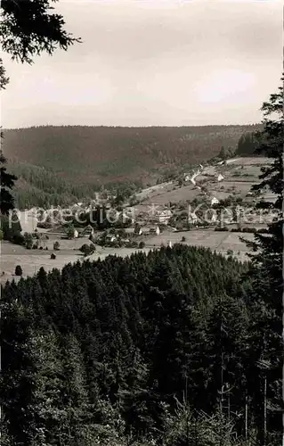 AK / Ansichtskarte Erzgrube Panorama  Kat. Seewald