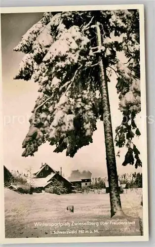 AK / Ansichtskarte Zwieselberg Freudenstadt Gasthaus Auerhahn Kat. Freudenstadt