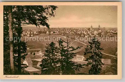 AK / Ansichtskarte Freudenstadt Christophstal Baerenschloesschen Kat. Freudenstadt