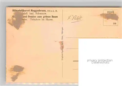 AK / Ansichtskarte Muggenbrunn Gasthof Pension zum gruenen Baum Kat. Todtnau