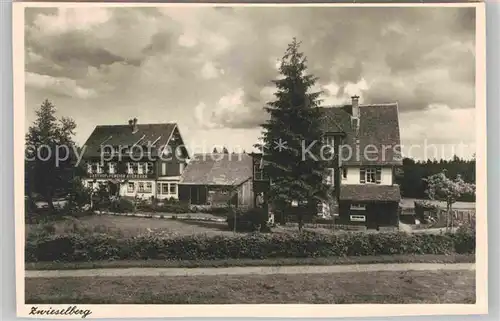 AK / Ansichtskarte Freudenstadt Gasthof Pension Auerhahn Zwieselberg Kat. Freudenstadt