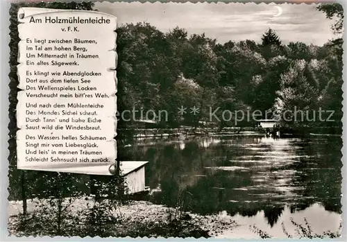 AK / Ansichtskarte Eldagsen Deister Waldgaststaette Holzmuehle am Saupark Kat. Springe