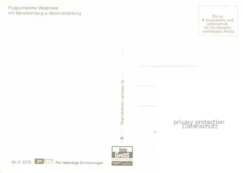 AK / Ansichtskarte Walensee Fliegeraufnahme mit Kerenzerberg und Walenstadtberg Kat. Walenstadt