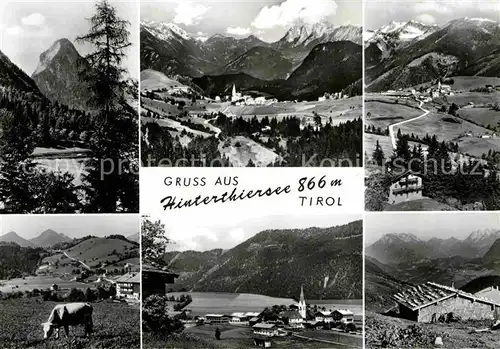 AK / Ansichtskarte Hinterthiersee Huette Kuh  Kat. Thiersee Tirol