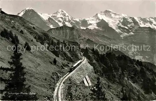 AK / Ansichtskarte Schynige Platte Bahn  Kat. Eisenbahn