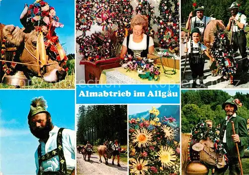 AK / Ansichtskarte Kuehe Almabtrieb Allgaeu  Kat. Tiere